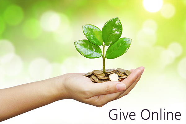 giveonline